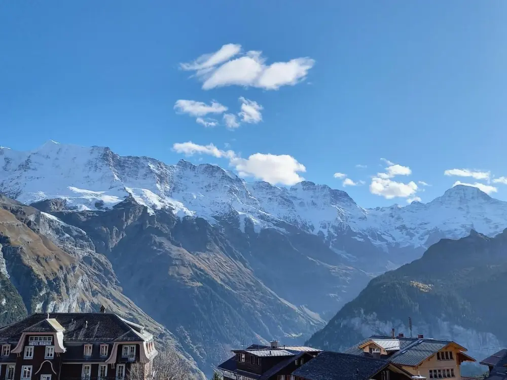 Résidence Chalet Soldanella