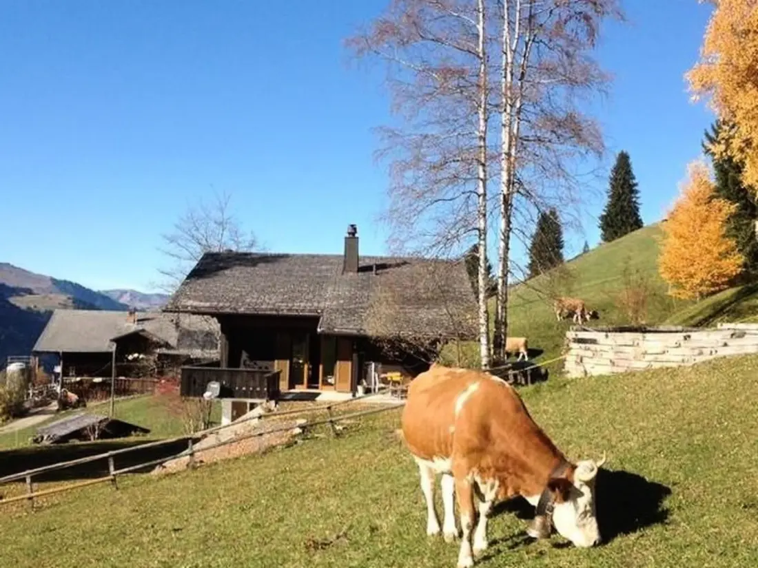 Maison de Vacances Lenk