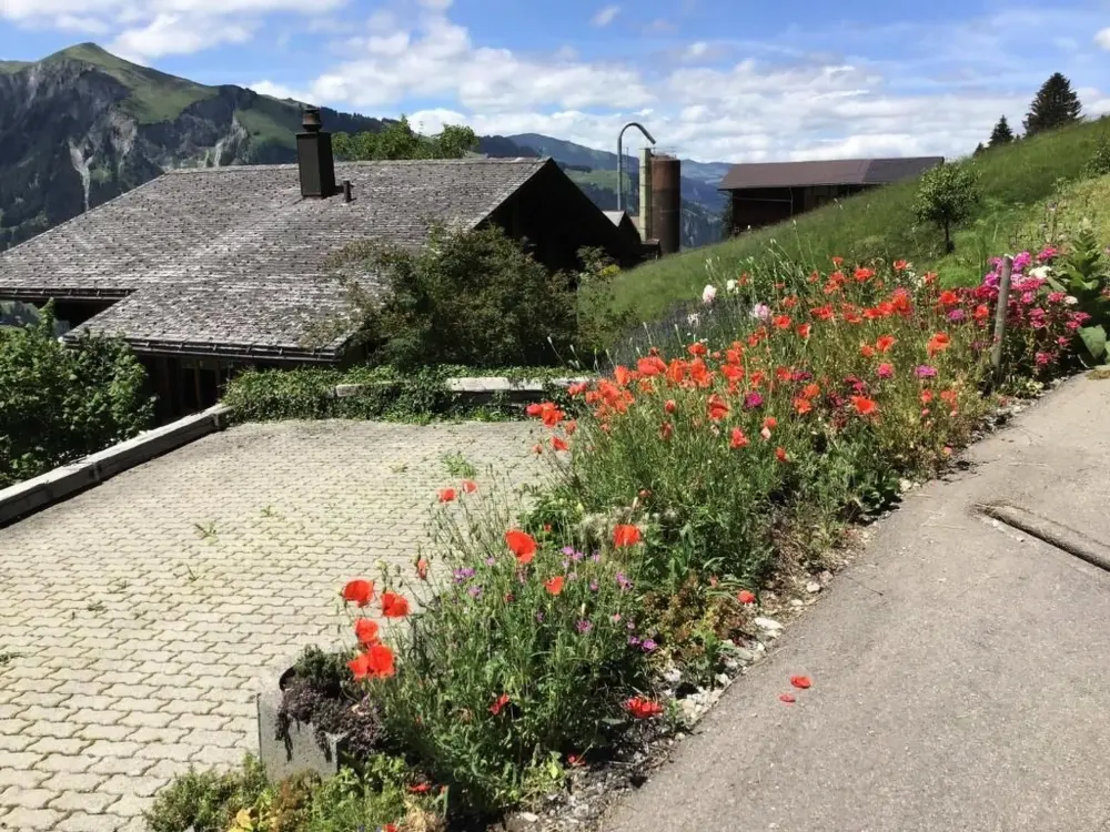 Maison de Vacances Lenk