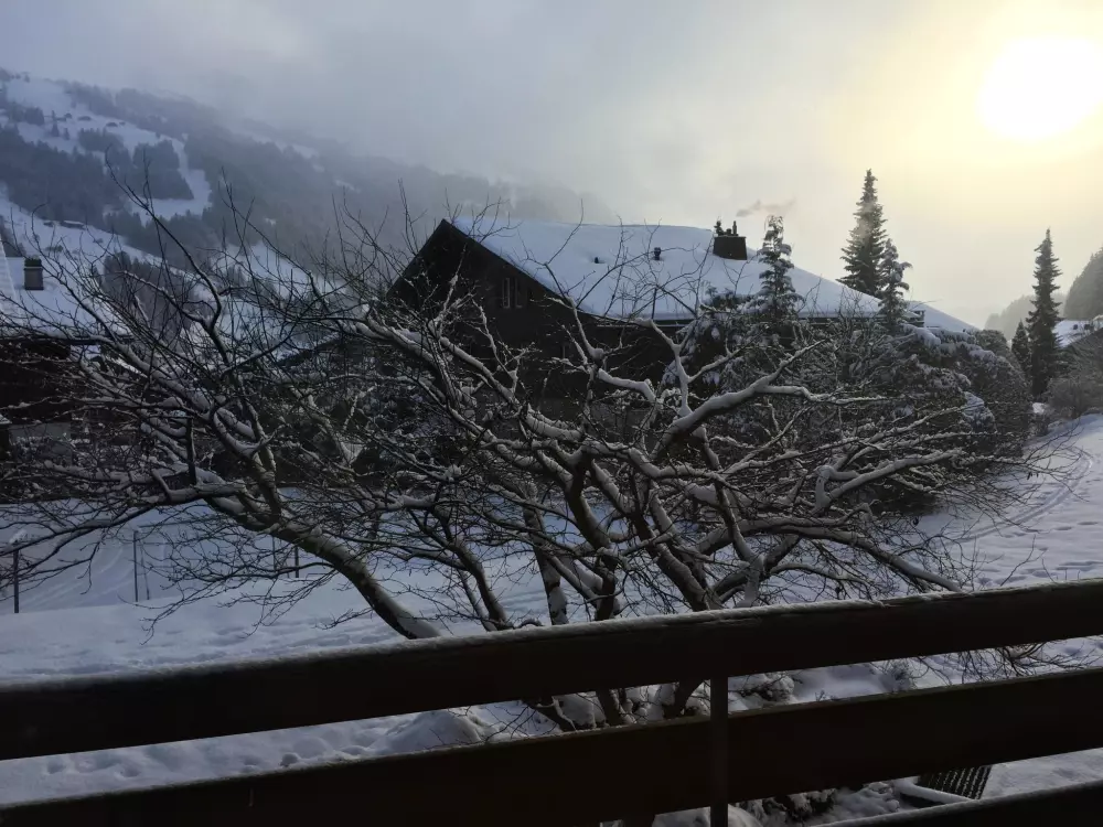 Résidence Ammerten A17