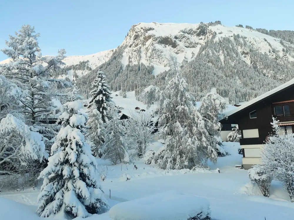 Résidence Lenk Unique