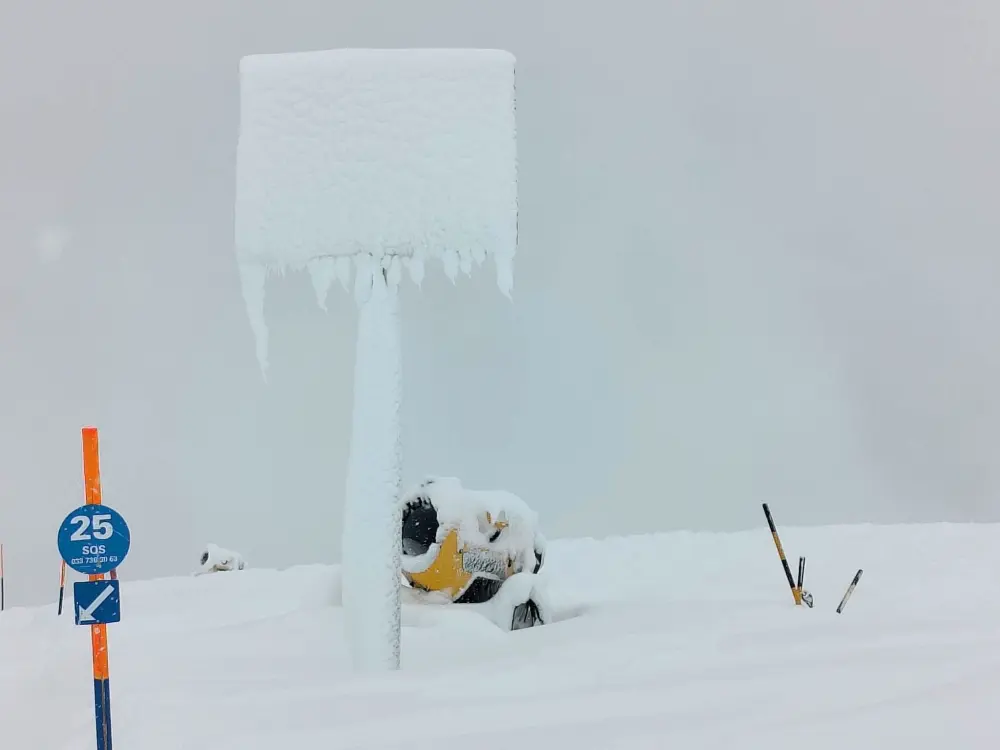 Résidence Lenk Unique
