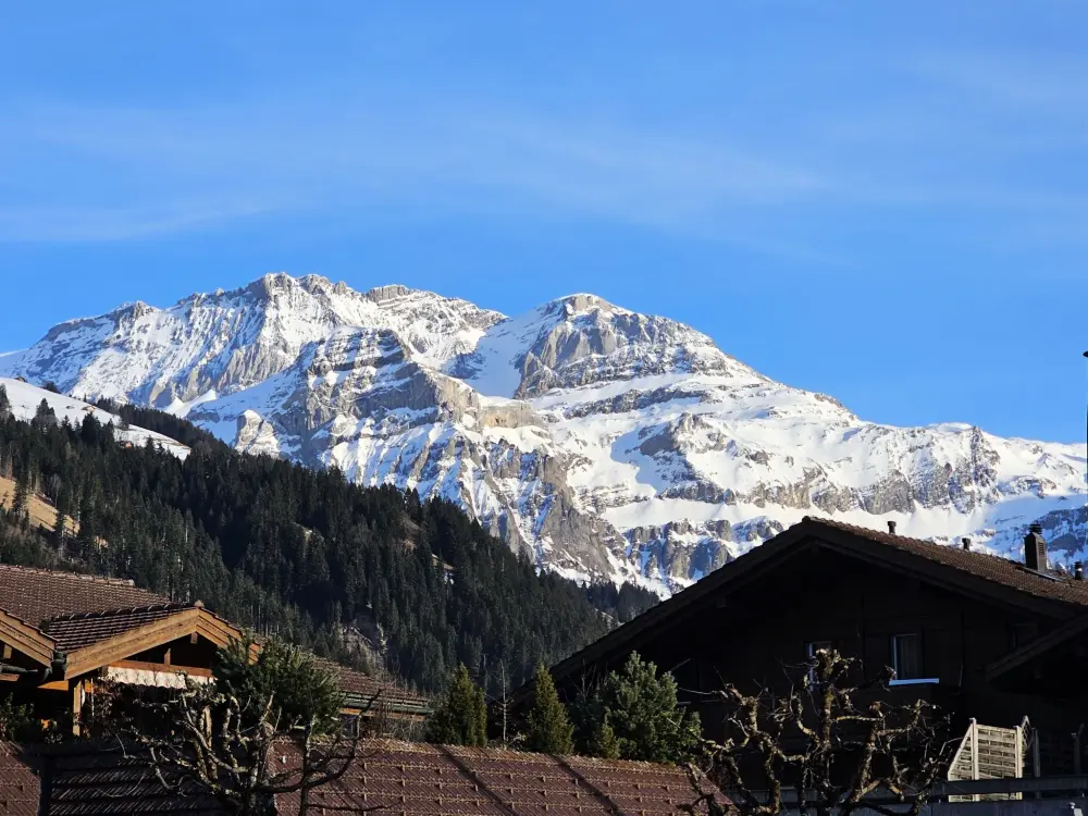Résidence Lenk Unique