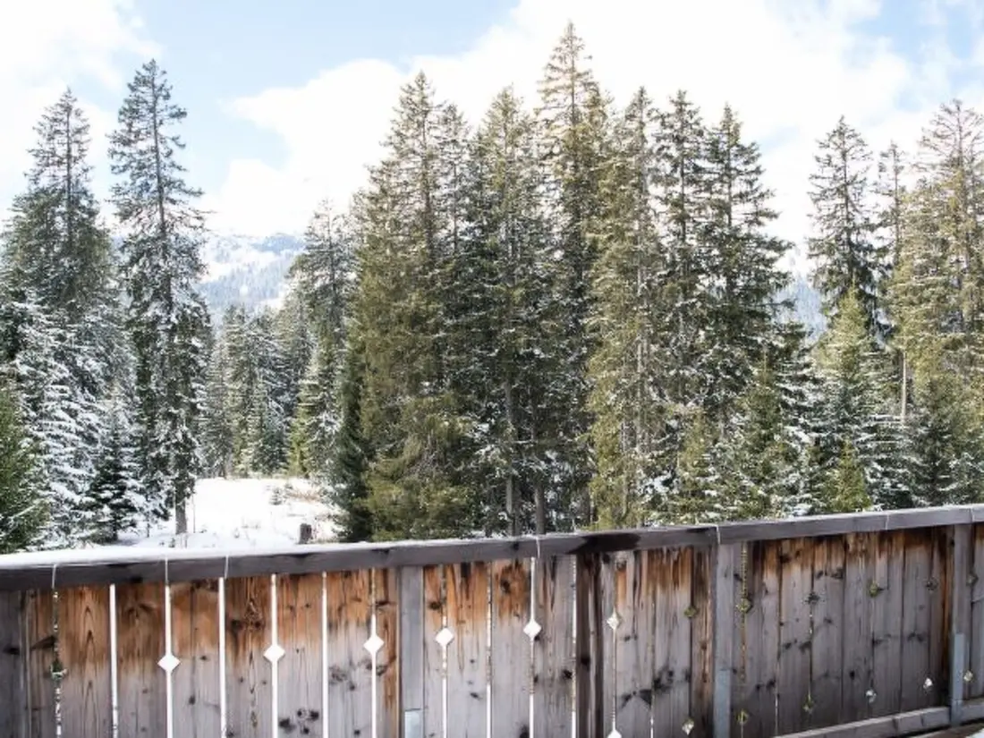 Résidence Moderne Ferienwohnung Scalottas Lenzerheide
