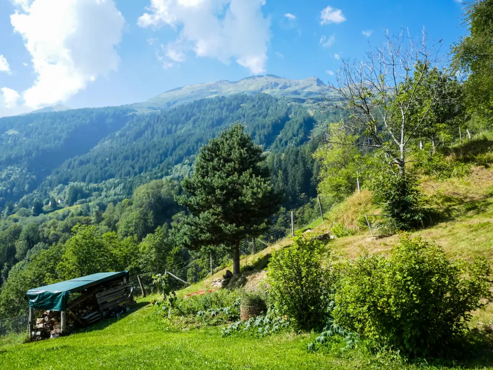 Maison de Vacances Leontica