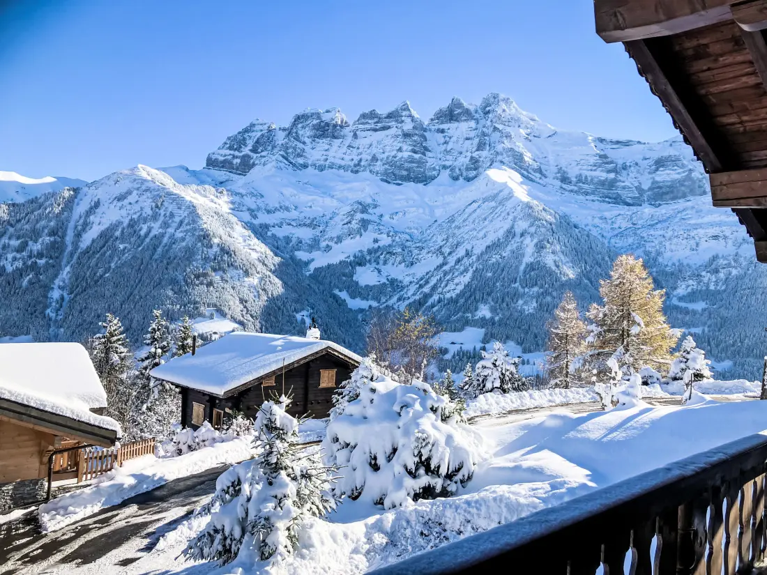 Chalet Les Crosets