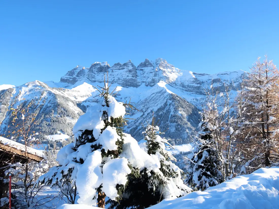 Chalet Les Crosets