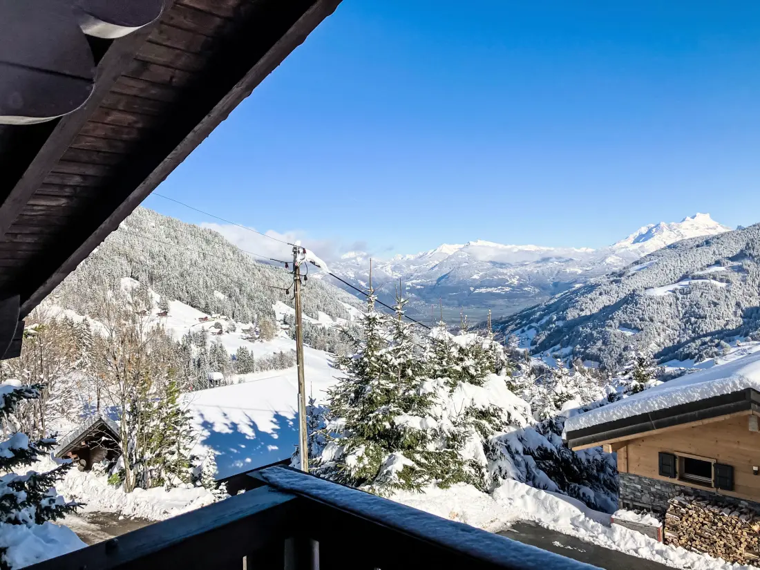 Chalet Les Crosets