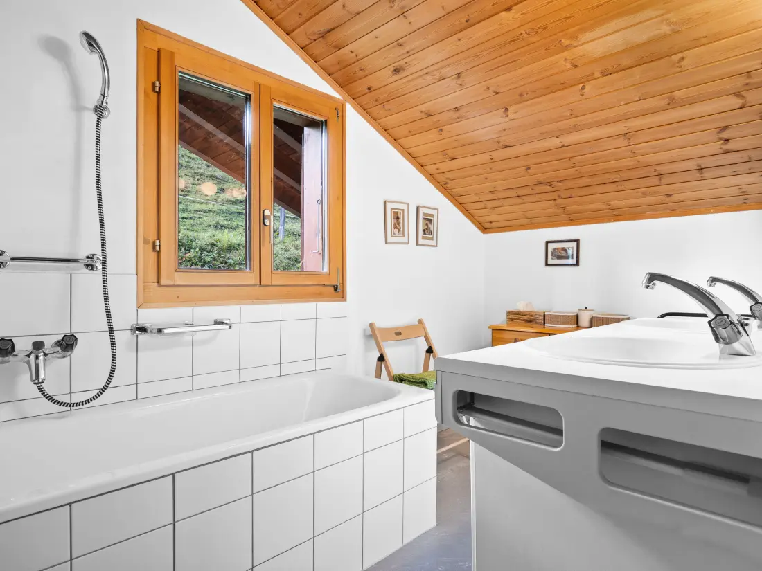 Chalet Les Crosets