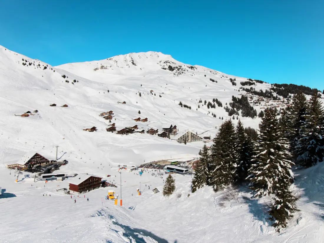 Chalet Les Crosets