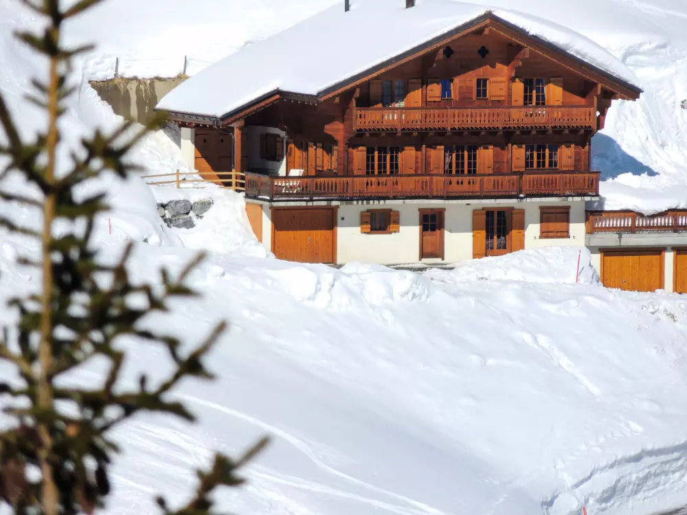 Chalet Les Crosets