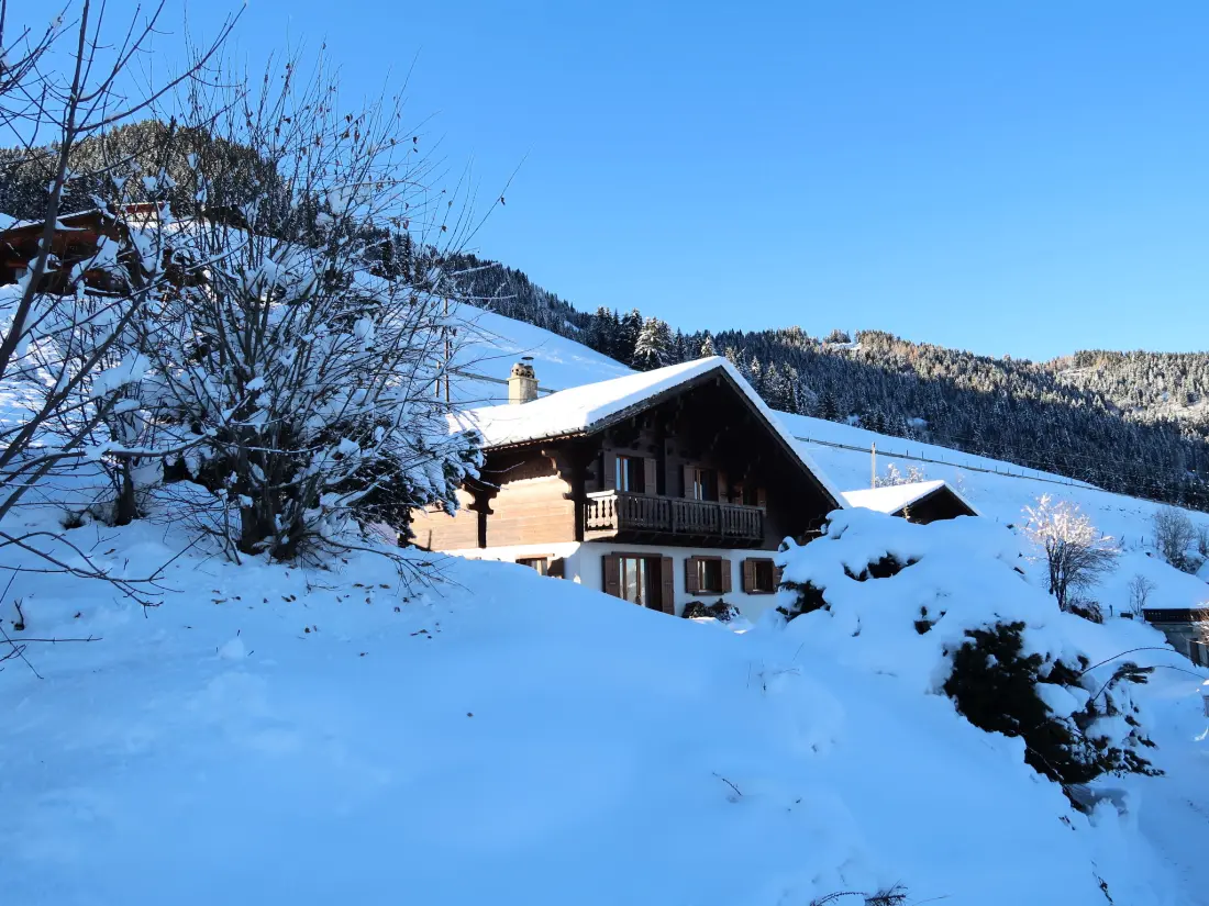 Chalet Les Crosets