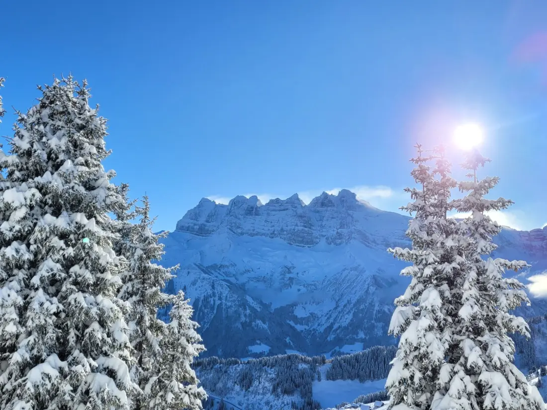 Résidence Chalet "Ecureuil" in den Portes du Soleil im Wallis
