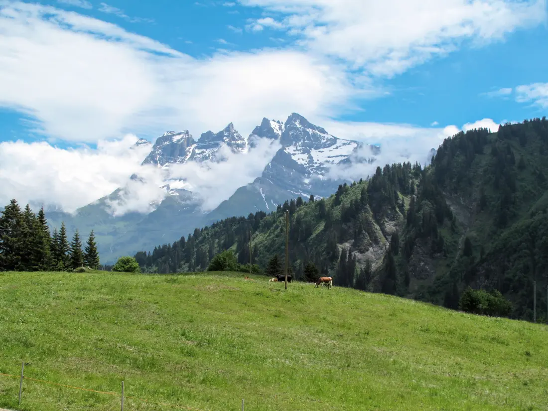 Résidence Chalet La Pala, (Val-d'Illiez),