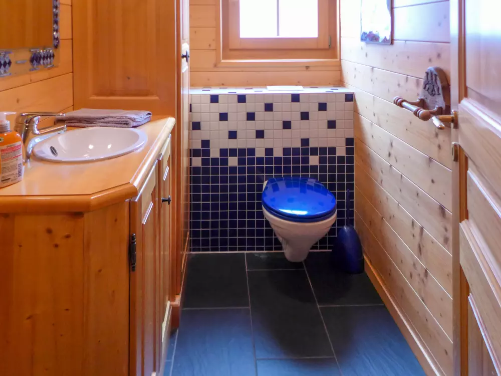 Chalet Les Diablerets