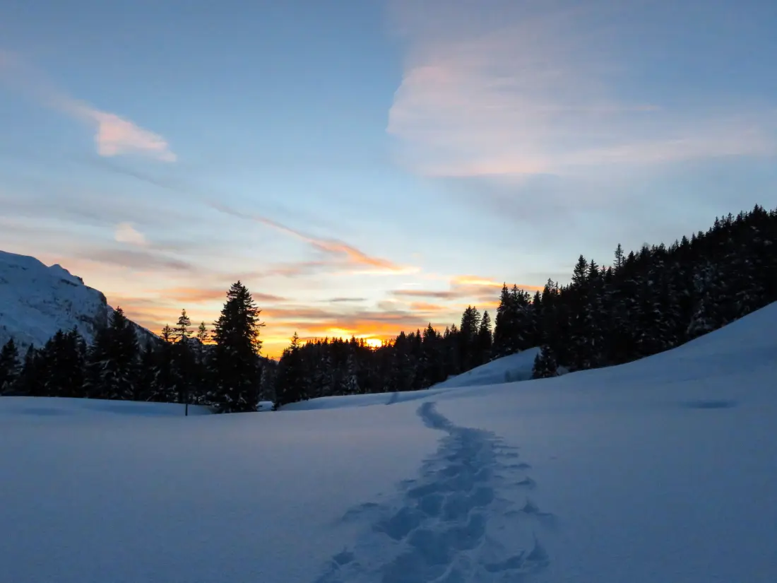 Maison de Vacances Les Diablerets