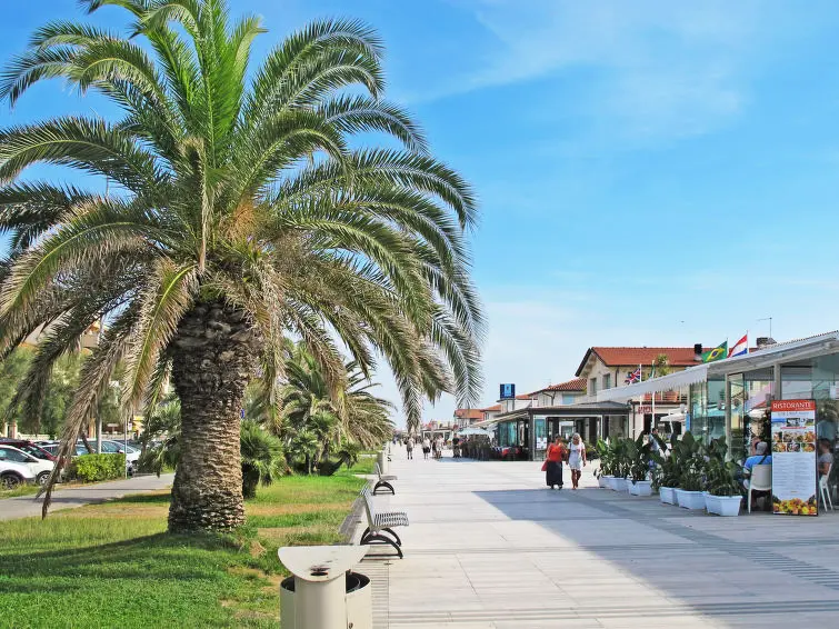 Maison de Vacances Lido di Camaiore