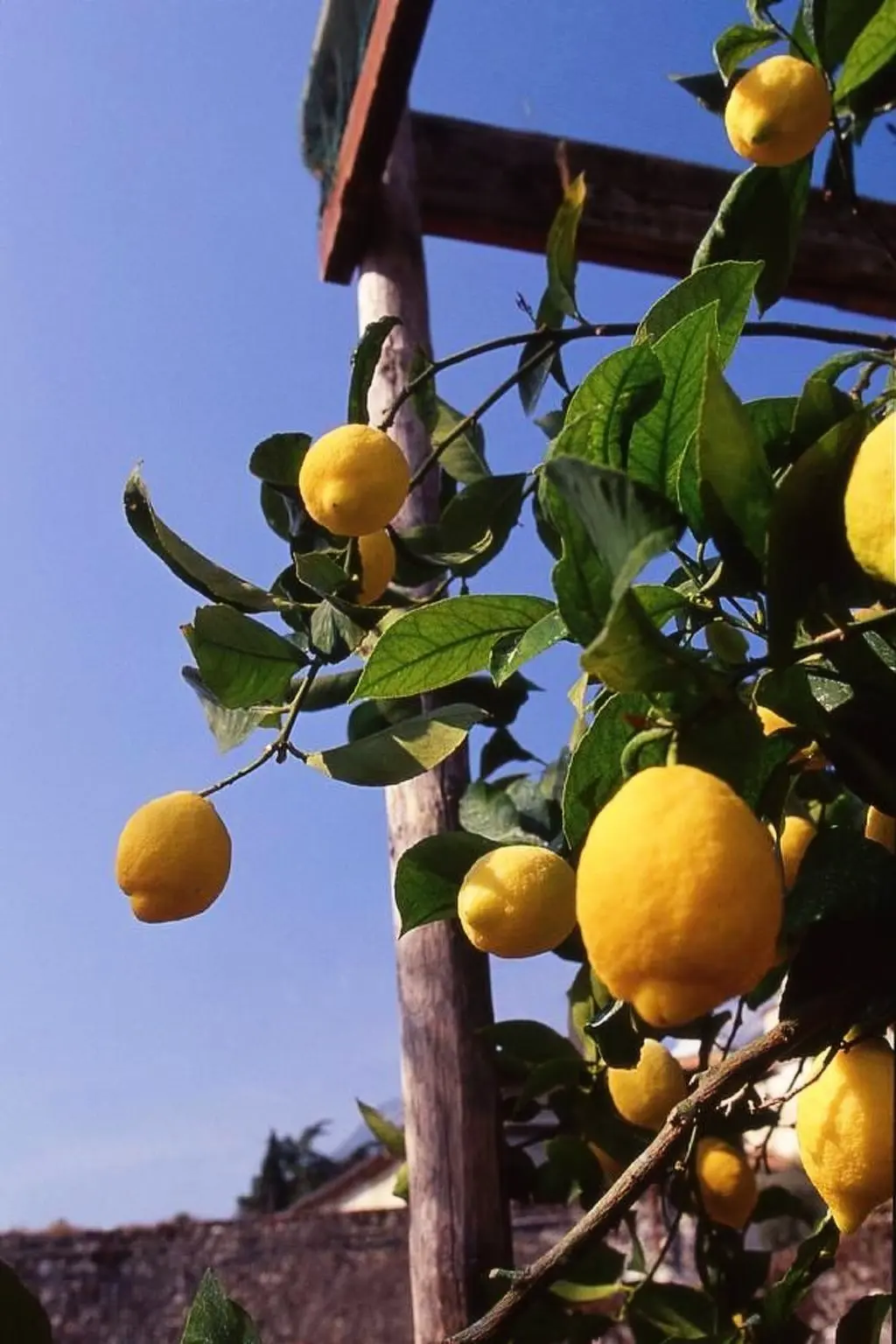 Maison de Vacances Limone sul Garda