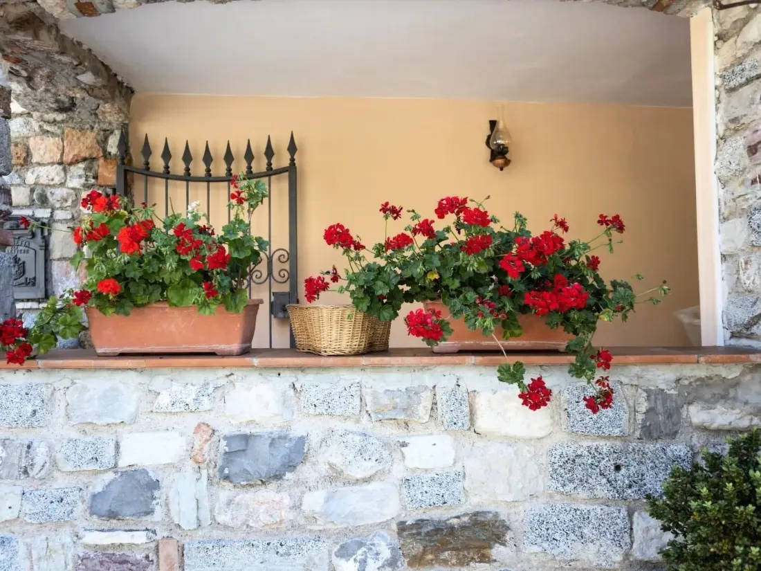 Résidence "Casa Rita AP. 1 - Gardasee".