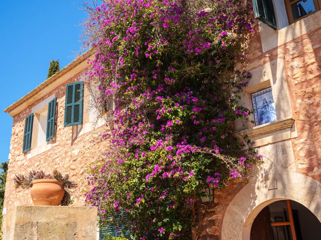 Maison de Vacances Llombards/C.Llombards/C.S'Almonia