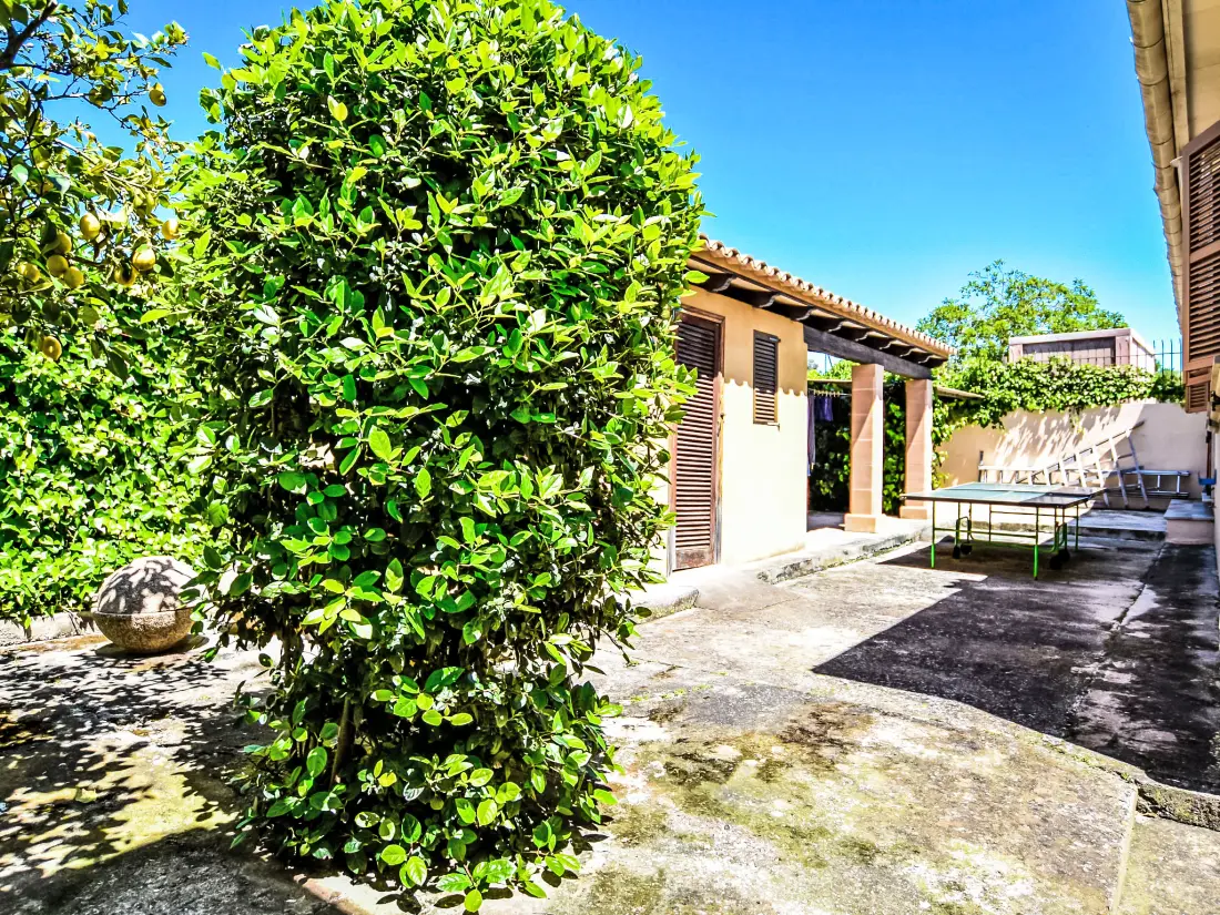 Maison de Vacances Lloseta