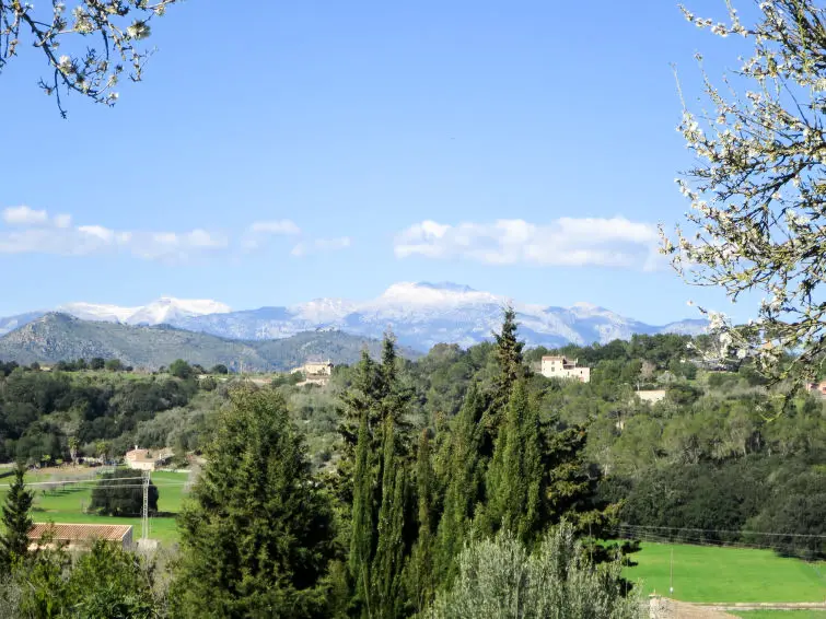 Maison de Vacances Llubí