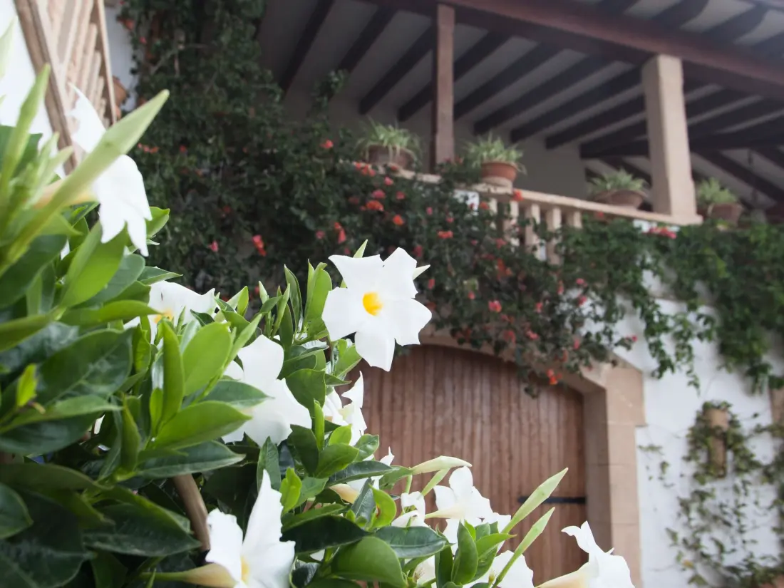 Maison de Vacances Llucmajor