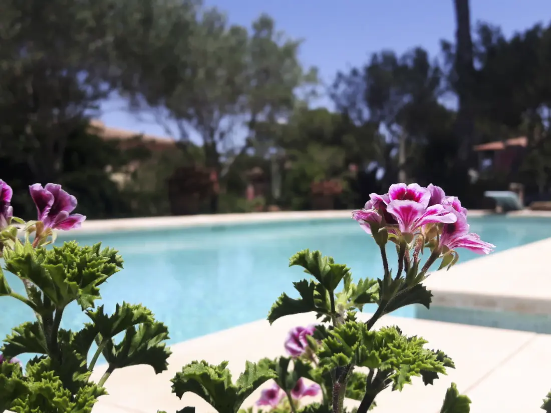 Maison de Vacances Llucmajor