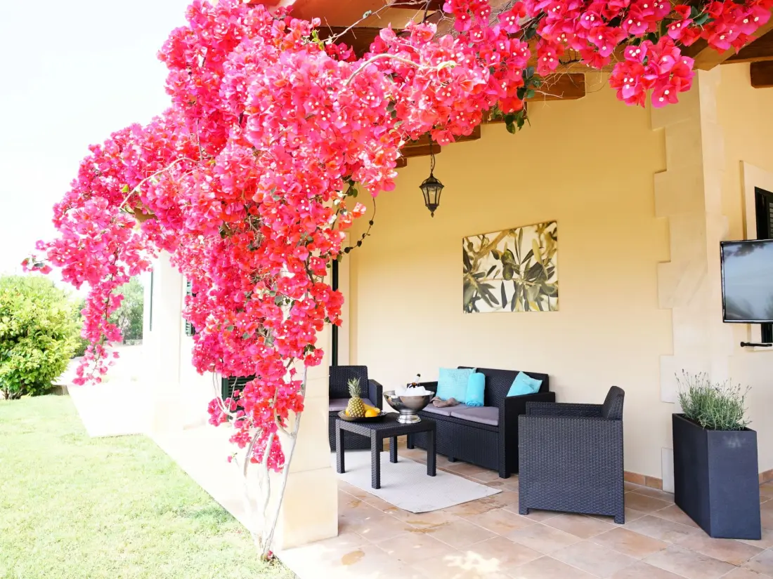 Maison de Vacances Llucmajor