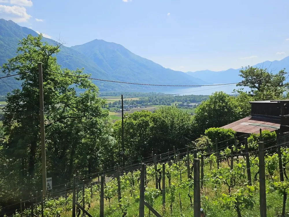 Résidence Casa al Maggio
