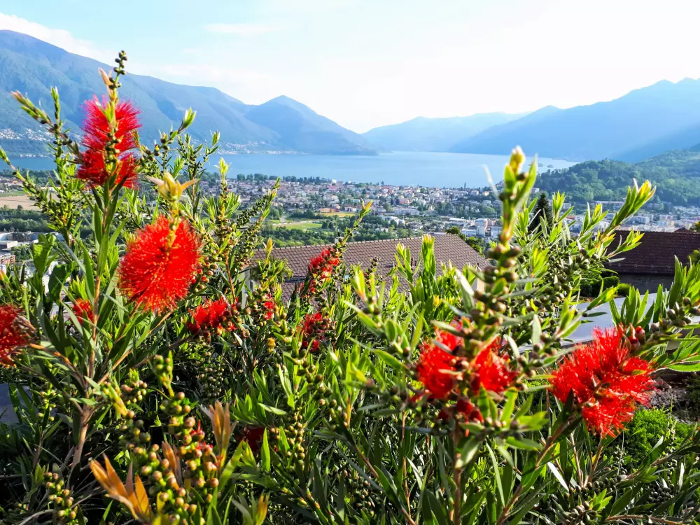 Résidence Vista Panorama