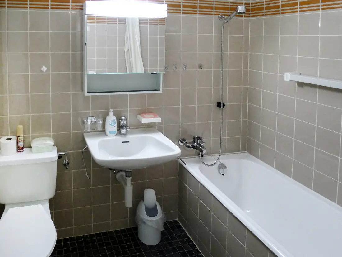 Résidence Ringstrasse Apt 113