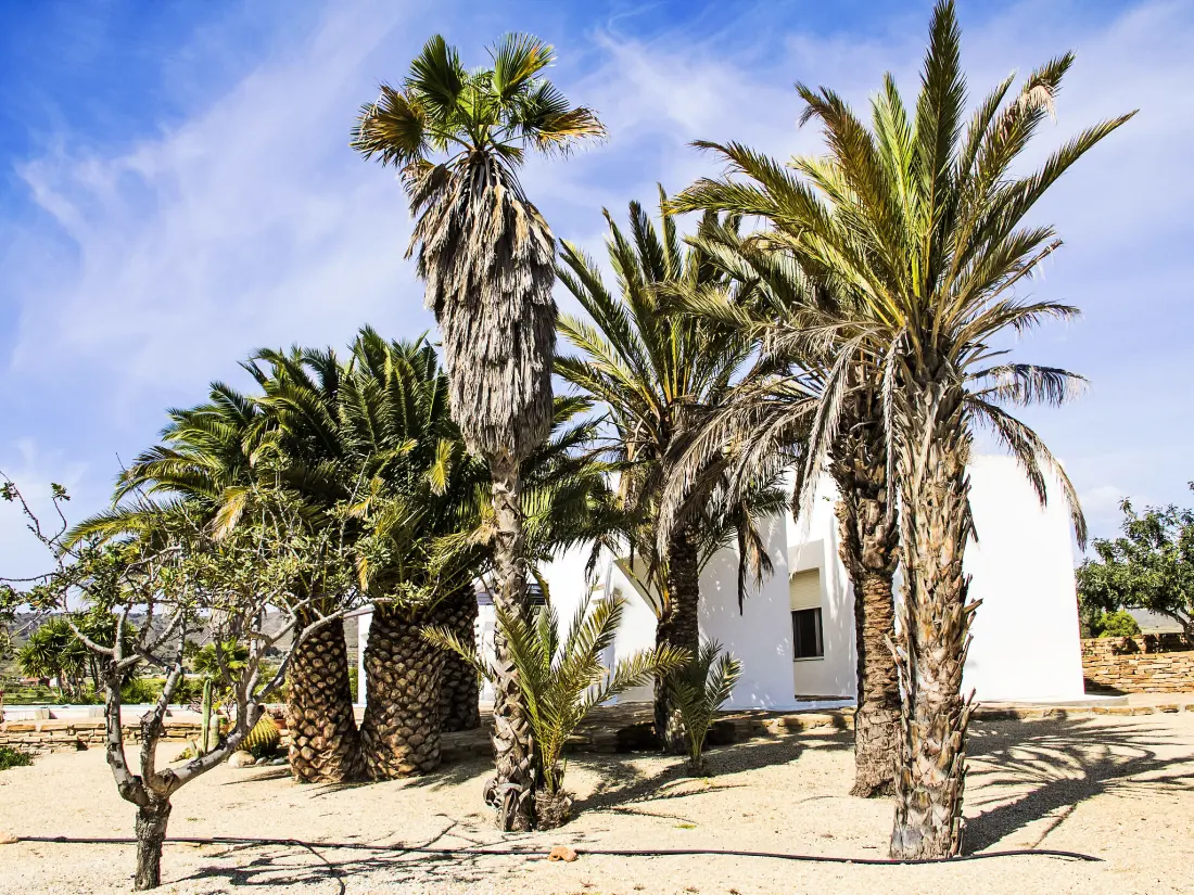 Maison de Vacances Los Gallardos