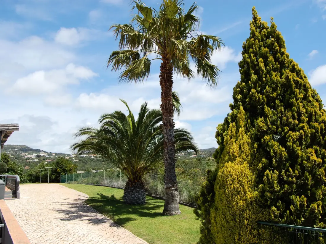 Maison de Vacances Loulé