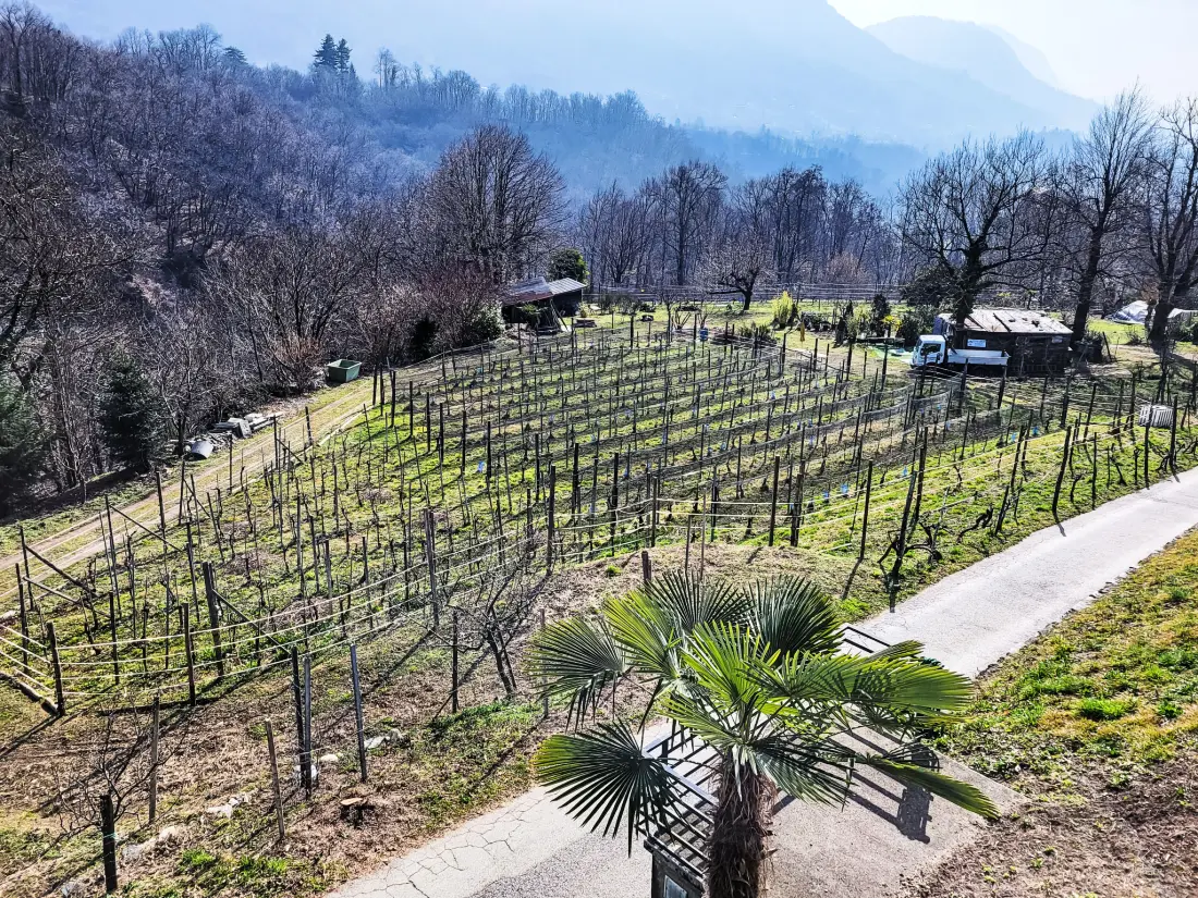 Résidence Villaggio Sureggio C10A mit TicinoTicket