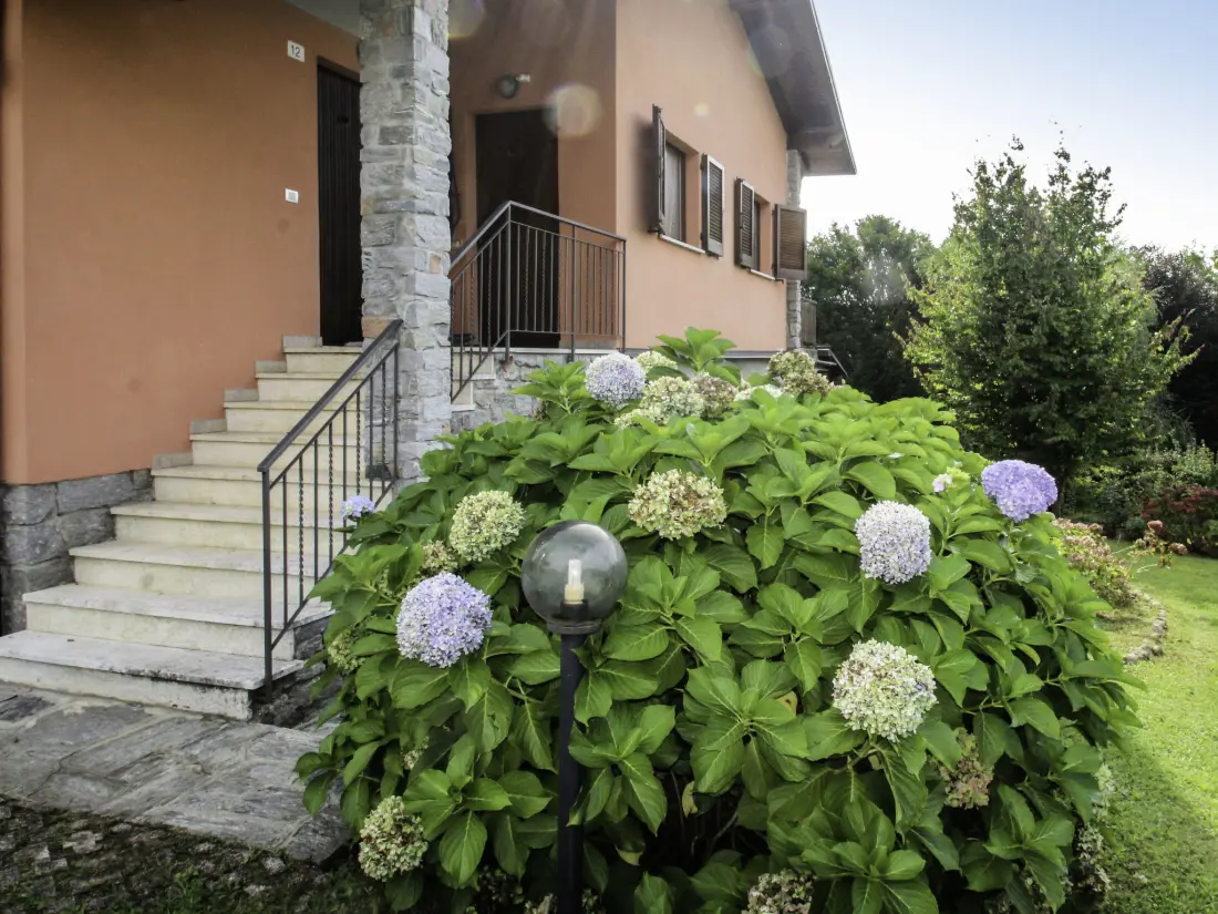 Résidence Residenza Agrifoglio