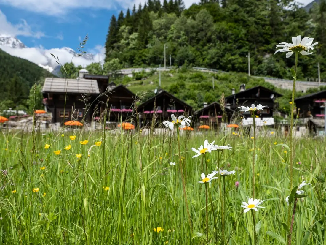 Résidence Chalet Borgo Walser Testa 9
