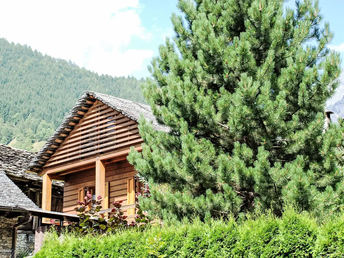 Chalet Malvaglia