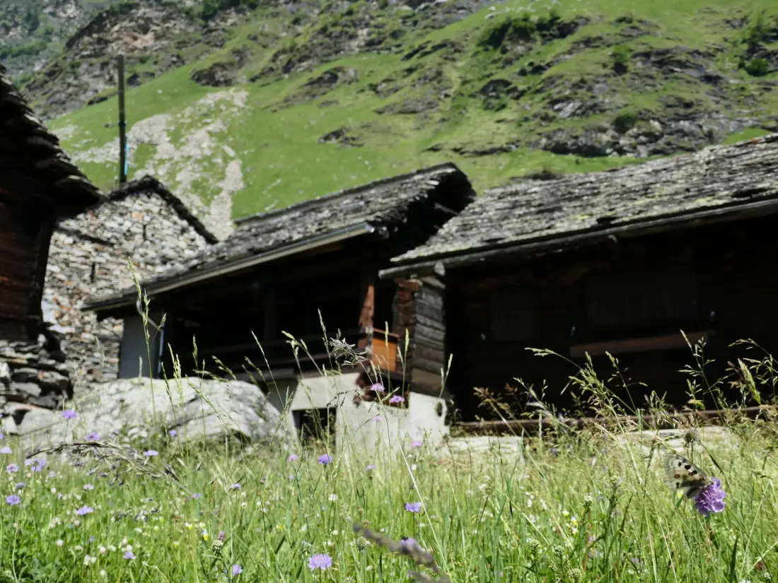 Chalet Malvaglia