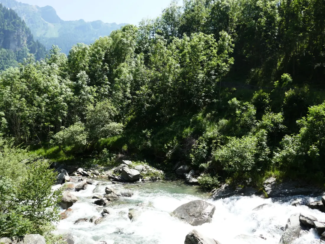 Chalet Malvaglia