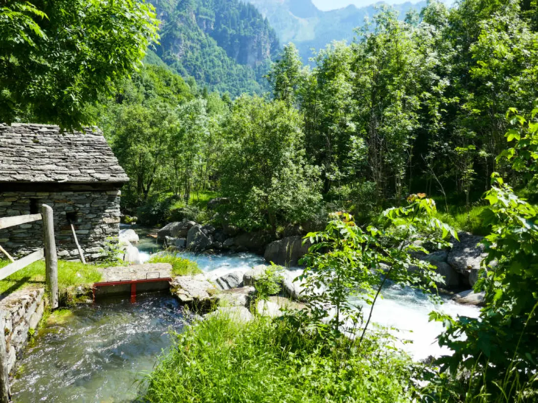 Maison de Vacances Malvaglia