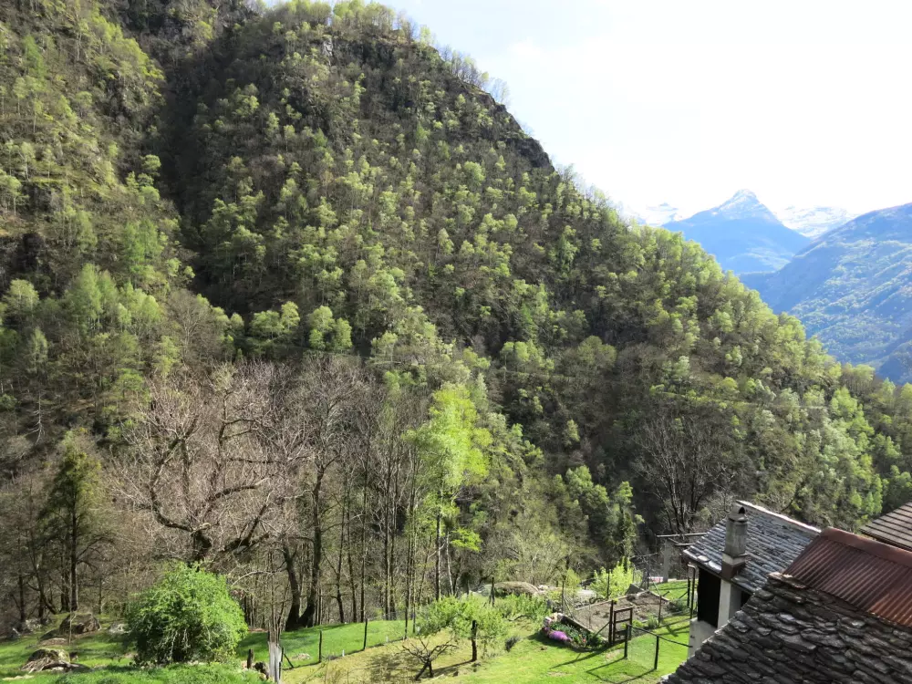 Maison de Vacances Malvaglia