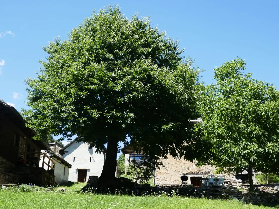 Maison de Vacances Malvaglia