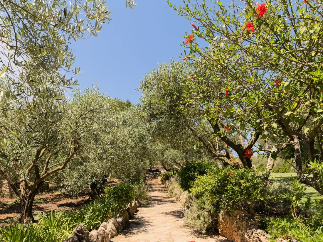 Maison de Vacances Manacor