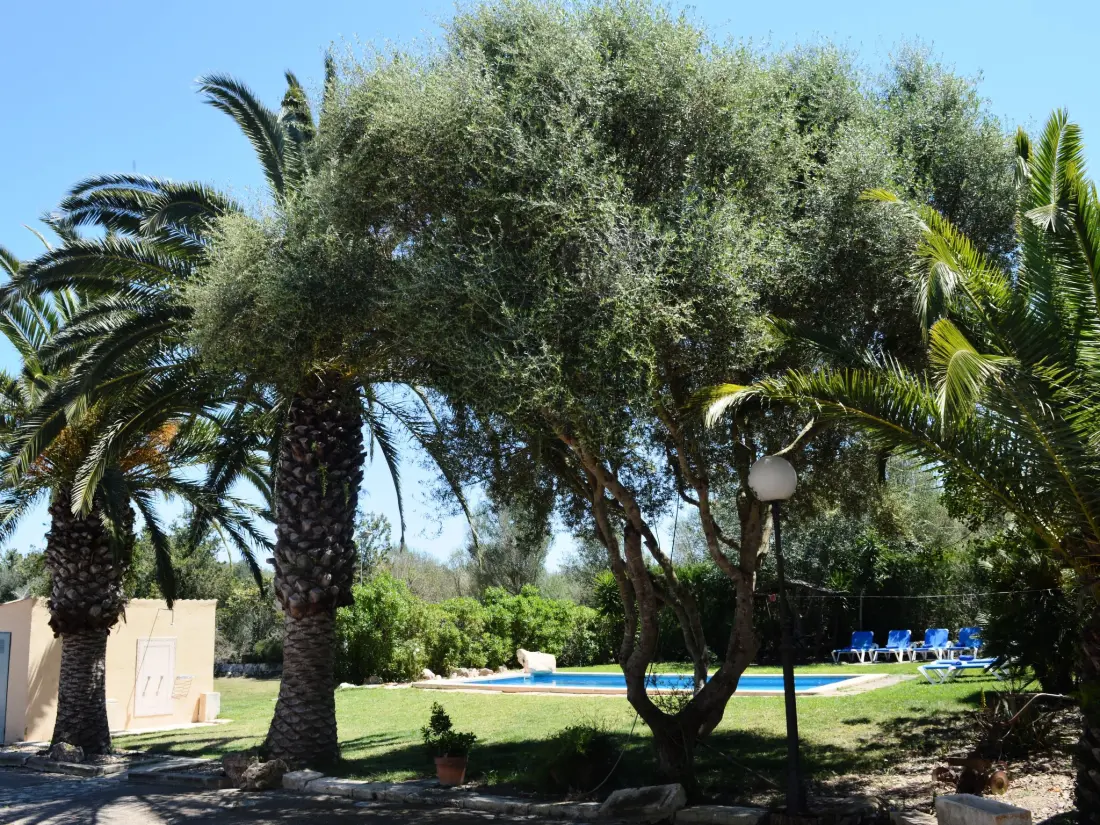 Maison de Vacances Manacor
