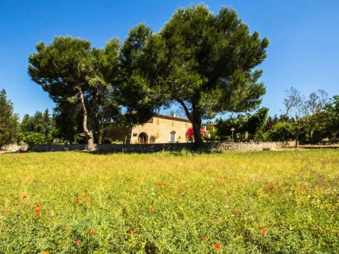 Maison de Vacances Manacor