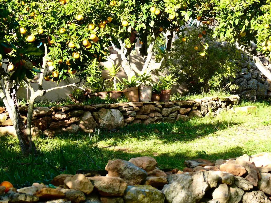 Maison de Vacances Manacor