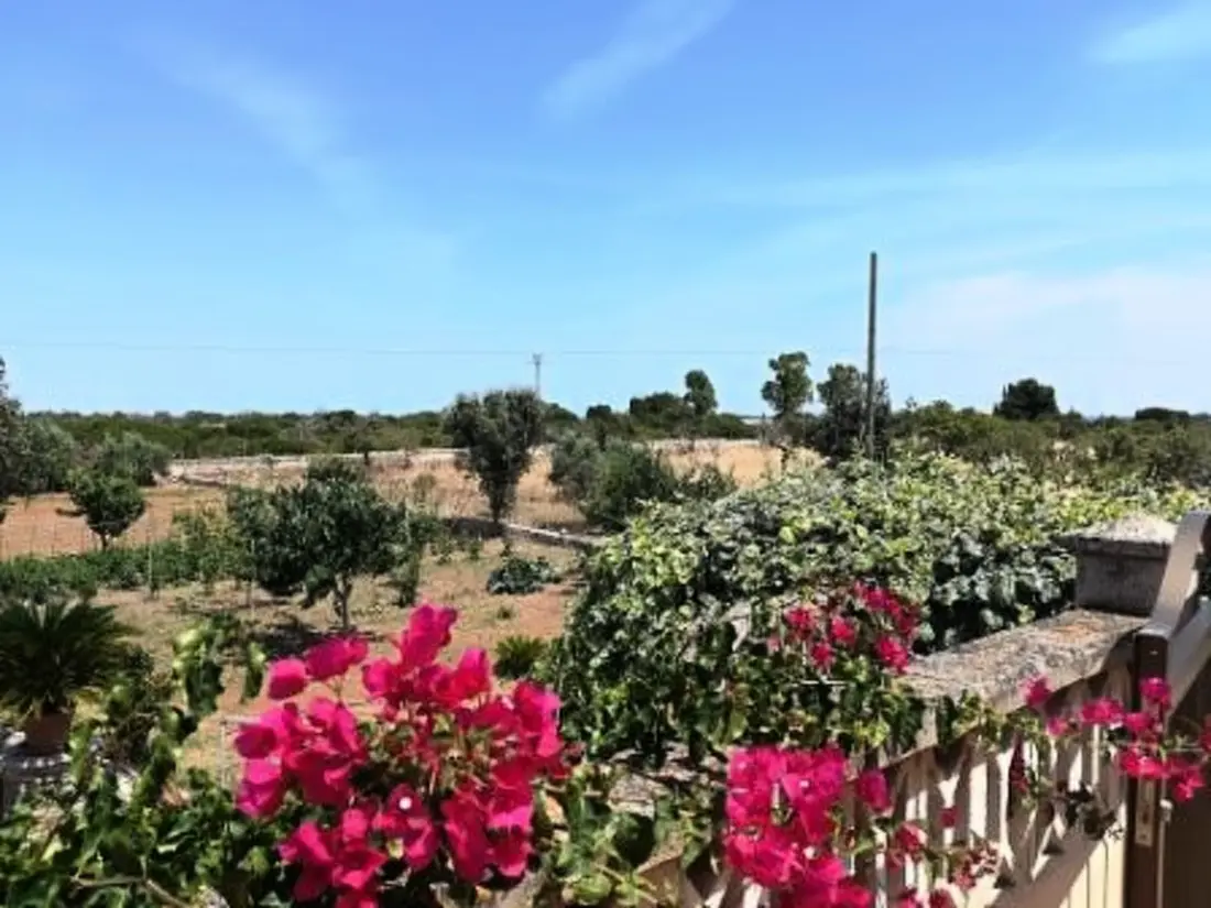Maison de Vacances Manacor