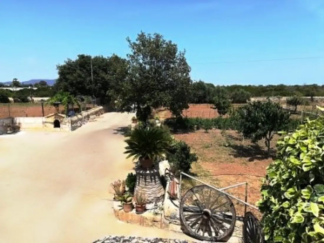 Maison de Vacances Manacor