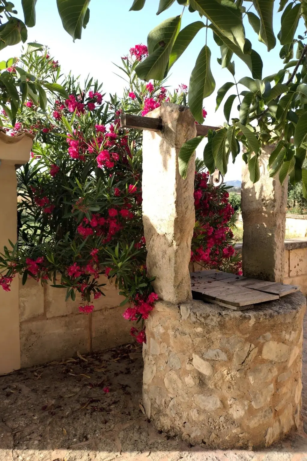 Maison de Vacances Manacor